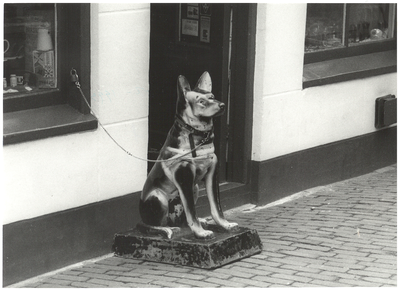 foto-12640 Stenen hond houdt de wacht voor snuisterijenwinkel aan de Breestraat in Hoorn, 1993