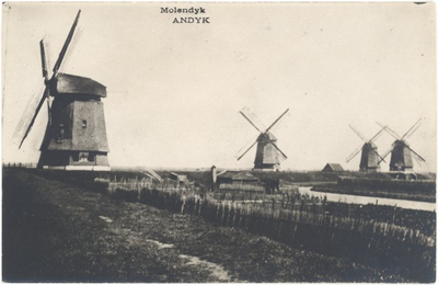 foto-24726 Molendyk Andijk, 1900