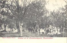 foto-9944 Groeten uit de Kersenboomgaard, Westerblokker, ca. 1900