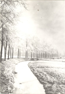 foto-9969 Hoorn : Draafsingel in wintertooi, omstreeks 1900, 1900?