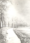 foto-9969 Hoorn : Draafsingel in wintertooi, omstreeks 1900, 1900?