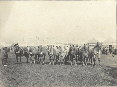 foto-14051(13) Nat. en Int. Landbouwtentoonstelling 's-Gravenhage 29 augustus 1913-15 september: onder voorzitterschap ...