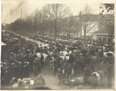 foto-16442 Najaarsveemarkt te Hoorn, ca. 1920