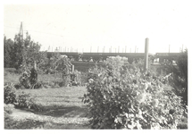foto-18025 Opbreken spoorlijn Hoorn - Venhuizen - Bovenkarspel, nazomer 1936, 1936