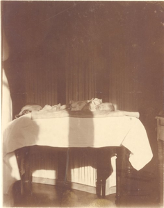 4e15(1) Enkhuizen : Snouck van Loosenziekenhuis, 1925