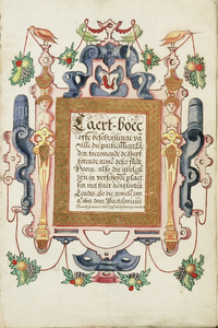 65j208 Caert-boec ofte beschrijvinge van alle die particuliere landen toecomende de Huyssittende Armen deser stede ...