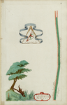 65j210(51) Kaartboek van de landerijen in eigendom van het Weeshuis te Hoorn, blad 51 : lant genaemt 't Weer, 1647