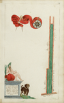 65j210(63) Kaartboek van de landerijen in eigendom van het Weeshuis te Hoorn, blad 63 : Steeckle-weyt, 1647