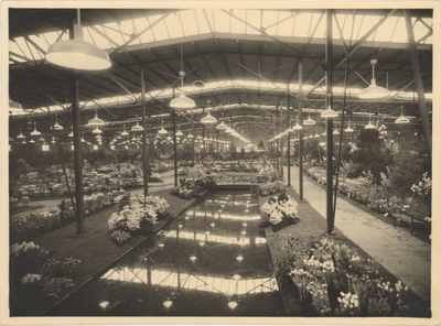 foto-31815 Bloemententoonstelling Westfriese Flora te Bovenkarspel, 1953
