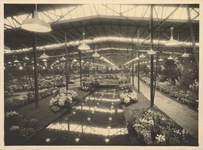 foto-31815 Bloemententoonstelling Westfriese Flora te Bovenkarspel, 1953