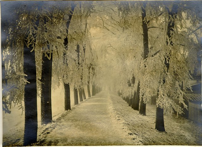 foto-420 Wintergezicht op de Binnenluiendijk, 1900