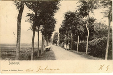 foto-5951 Bobeldijk, ca. 1900