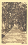 foto-8213 Westeinde. Enkhuizen, ca. 1900