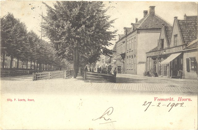 foto-8405 Veemarkt. Hoorn, ca. 1900
