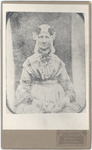 foto-25165 Portret van een vrouw, ca. 1883