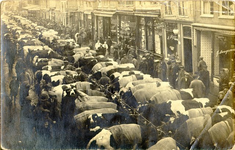 foto-3351 Veemarkt te Hoorn, 1915, 1915