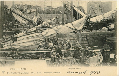 5787 Enkhuizen : 't ansjovis bedrijf, 190-?