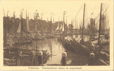 9831 Enkhuizen. Visschershaven tijdens de ansjovisteelt, ca. 1920