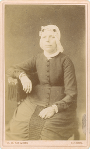 foto-37460 Portret van een onbekende dame, ca. 1880