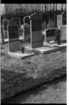 454 Grafstenen op de begraafplaats aan het Keern, onder andere van Willem Lafeber (1883-1940)
