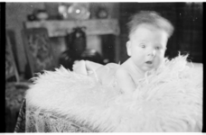 536 Portretfoto van een baby van de familie Zegel