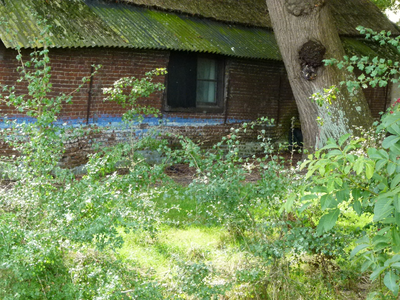 520 Zwaagdijk-Oost - Bouwvallen Westfriesland