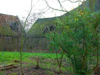 355 Schellinkhout - Bouwvallen Westfriesland