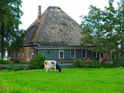 117 Bobeldijk - Bouwvallen Westfriesland