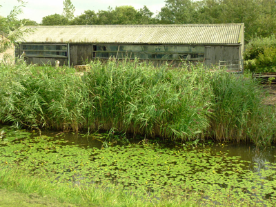 60 Barsingerhorn - Bouwvallen Westfriesland